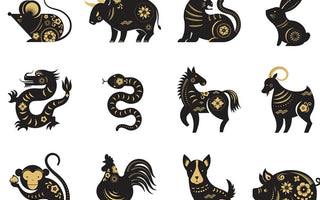 Unlocking Chinese Zodiac Signs Animals: Understanding the Myths and Realities - LotsKarma