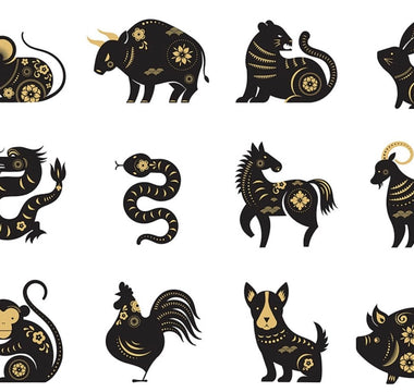 Unlocking Chinese Zodiac Signs Animals: Understanding the Myths and Realities - LotsKarma